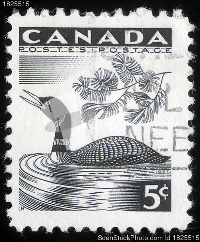 Image of Stamp printed by Canada, shows Loon