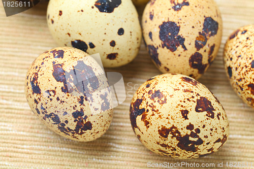 Image of quail eggs