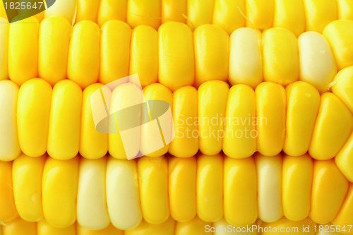 Image of corn cob