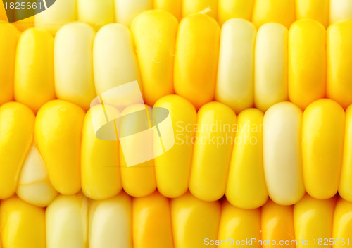 Image of corn cob