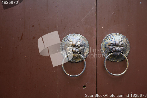 Image of lion door lock