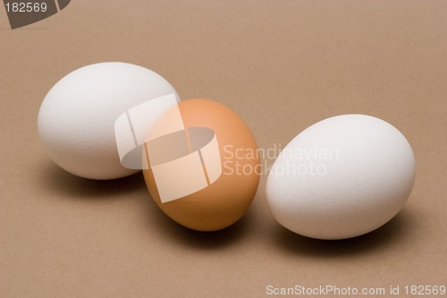 Image of Eggs
