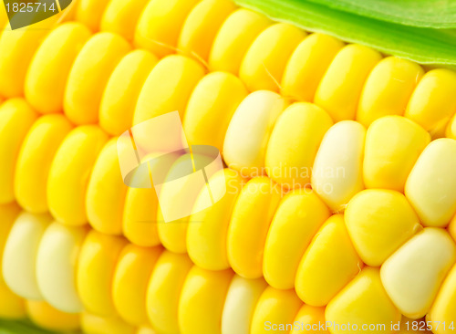 Image of corn cob