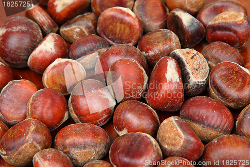 Image of chestnut