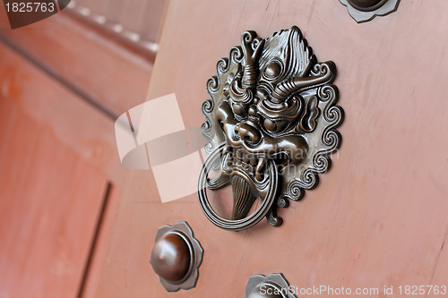 Image of lion door lock