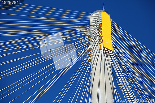 Image of Suspension bridge with cables