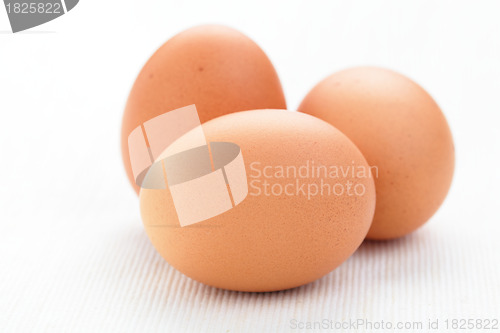 Image of fresh eggs