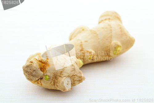 Image of ginger