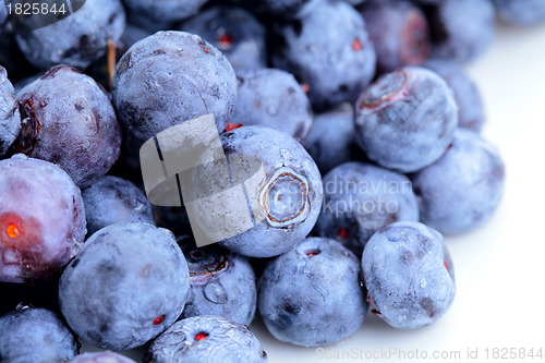 Image of blueberry