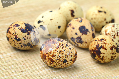 Image of Quail Egg