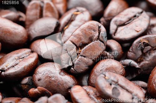 Image of coffee bean close up