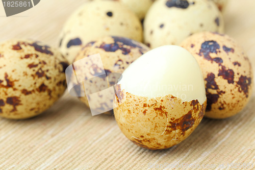 Image of quail eggs