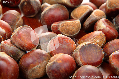 Image of chestnut