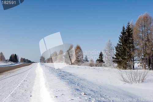 Image of Winter landscape