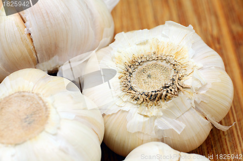 Image of garlic