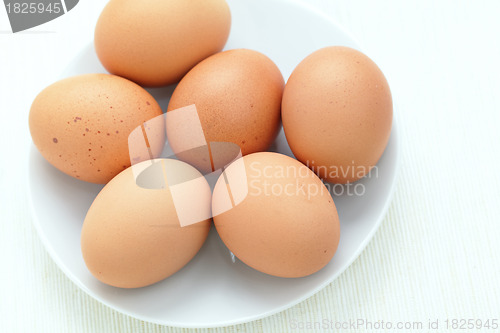 Image of fresh eggs