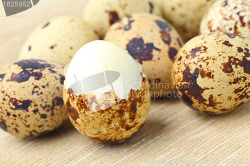 Image of Quail Egg