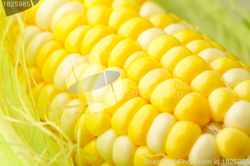 Image of corn cob