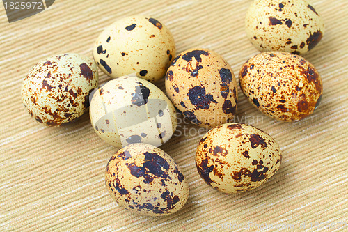 Image of quail egg