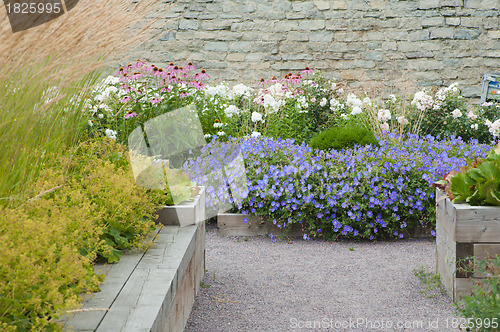 Image of Beautiful garden with blossoming plants