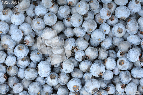 Image of background of a ripe blueberries