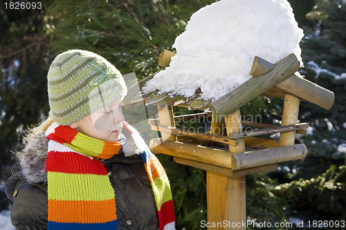 Image of Bird feeder