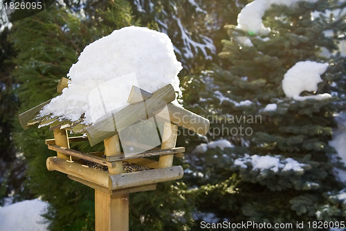 Image of Bird feeder