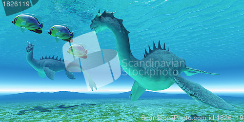 Image of Sea Dragon Fight