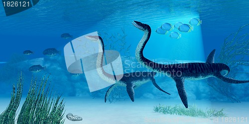 Image of Plesiosaurus Dinosaur