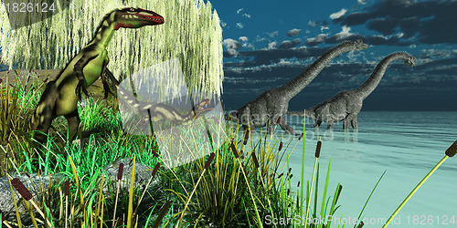Image of Brachiosaurus and Dilong Dinosaurs