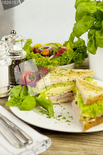 Image of fresh tasty club sandwich with cheese and ham on table