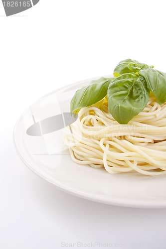 Image of fresh delicious pasta with basil isolated on white