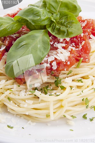 Image of tatsty fresh spaghetti with tomato sauce and parmesan isolated