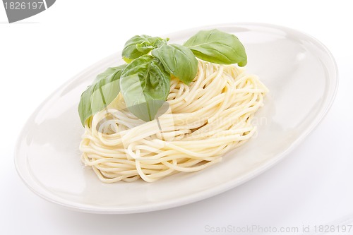 Image of fresh delicious pasta with basil isolated on white