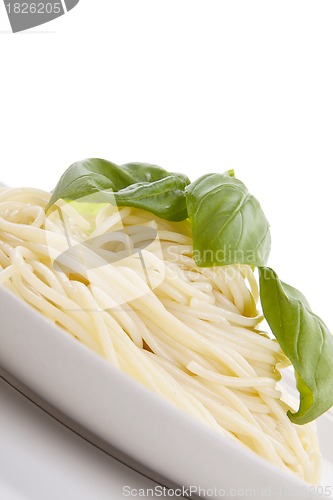 Image of fresh delicious pasta with basil isolated on white