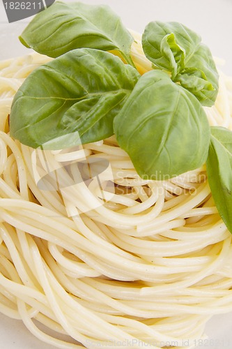 Image of fresh delicious pasta with basil isolated on white