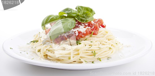 Image of tatsty fresh spaghetti with tomato sauce and parmesan isolated
