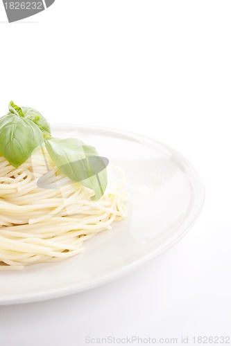 Image of fresh delicious pasta with basil isolated on white