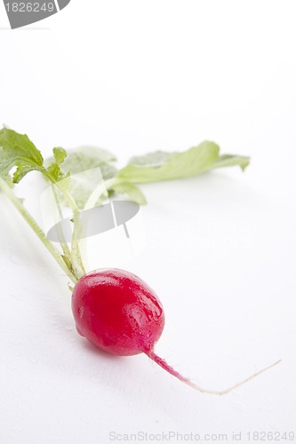 Image of fresh red radish isolated on white background