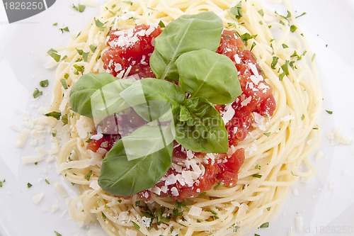 Image of tatsty fresh spaghetti with tomato sauce and parmesan isolated