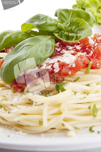 Image of tatsty fresh spaghetti with tomato sauce and parmesan isolated