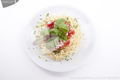 Image of tatsty fresh spaghetti with tomato sauce and parmesan isolated