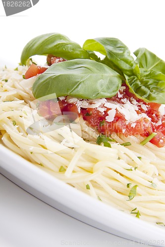 Image of tatsty fresh spaghetti with tomato sauce and parmesan isolated