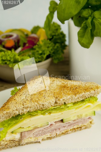 Image of fresh tasty club sandwich with cheese and ham on table