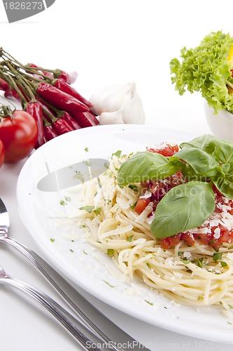 Image of tatsty fresh spaghetti with tomato sauce and parmesan isolated