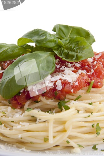 Image of tatsty fresh spaghetti with tomato sauce and parmesan isolated