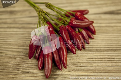 Image of red hot chilli pepper with basil and garlic on table