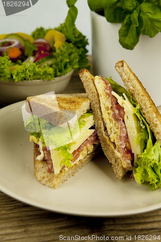 Image of fresh tasty club sandwich with cheese and ham on table