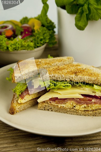 Image of fresh tasty club sandwich with cheese and ham on table