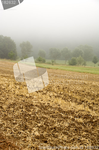 Image of Stubble mulch